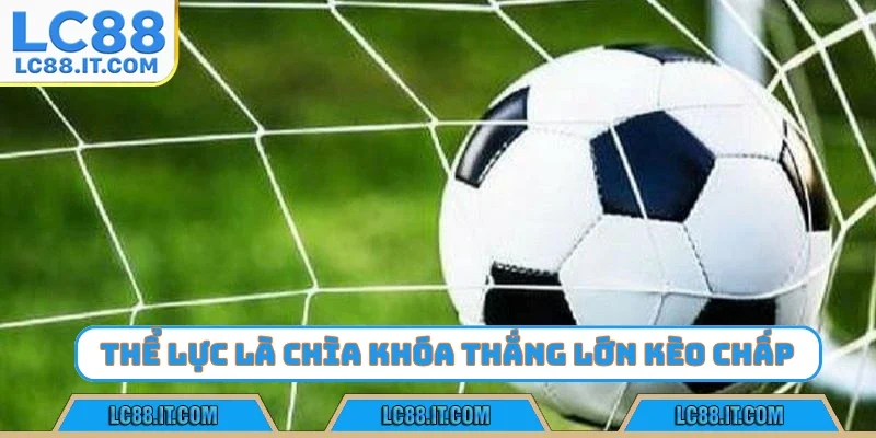 Thể lực là chìa khóa thắng lớn kèo chấp